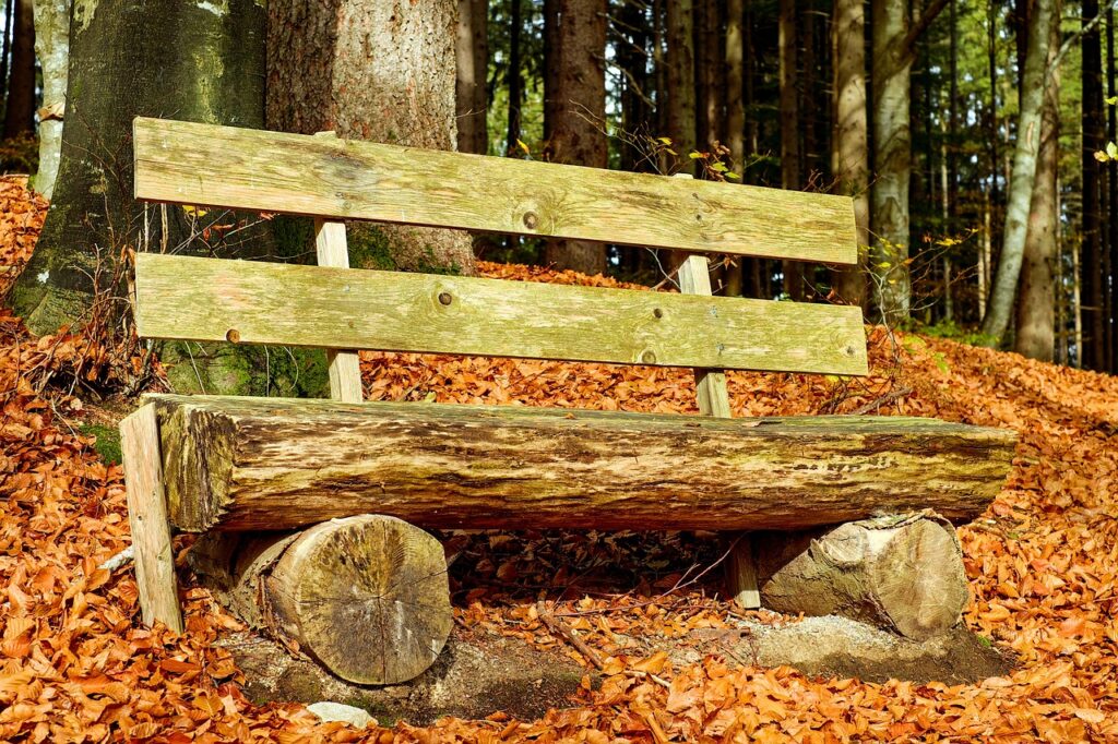 bank, bench, wooden bench-2899308.jpg